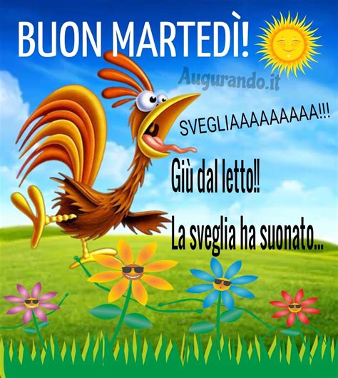 immagini buongiorno buon martedì|martedi divertenti.